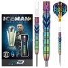 Red Dragon Darts Gerwyn Price Ionic
