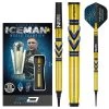 Red Dragon Darts Gerwyn Price Avalanche Gold Soft Tip